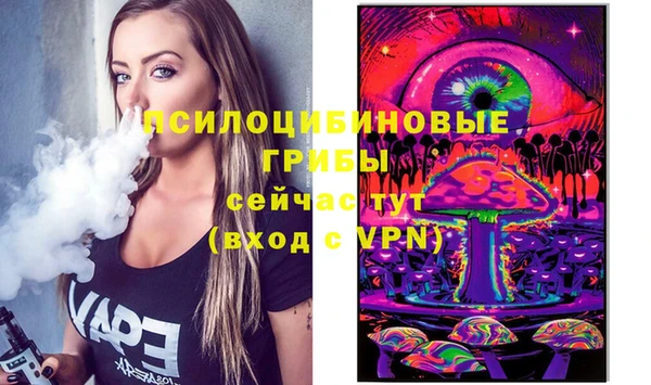 дурь Надым