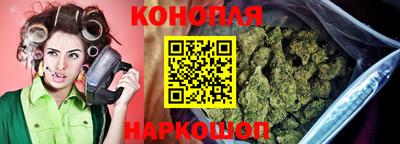 mdpv Гай