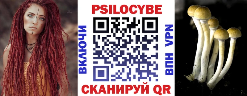 Галлюциногенные грибы GOLDEN TEACHER  блэк спрут онион  Копейск  где найти наркотики 