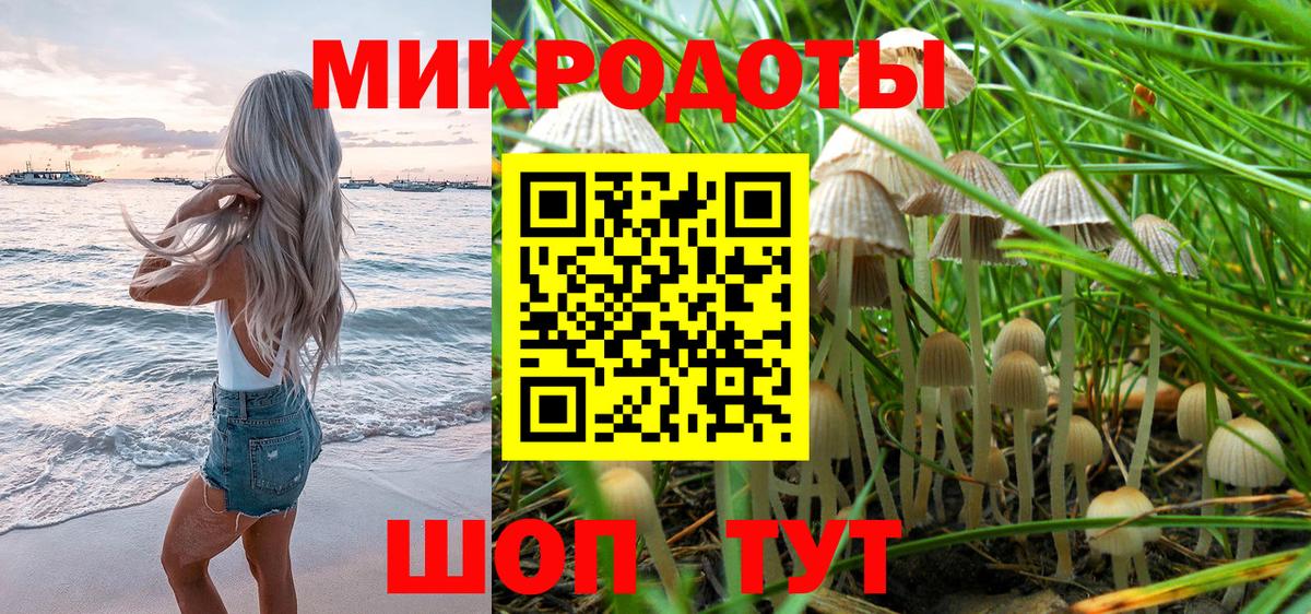 Галлюциногенные грибы мухоморы Копейск