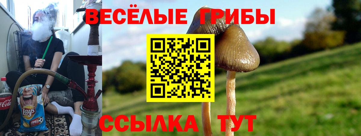 Копейск  Псилоцибиновые грибы GOLDEN TEACHER  Вход с VPN 